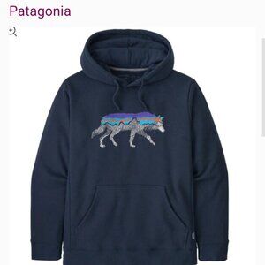 Patagonia hoodie